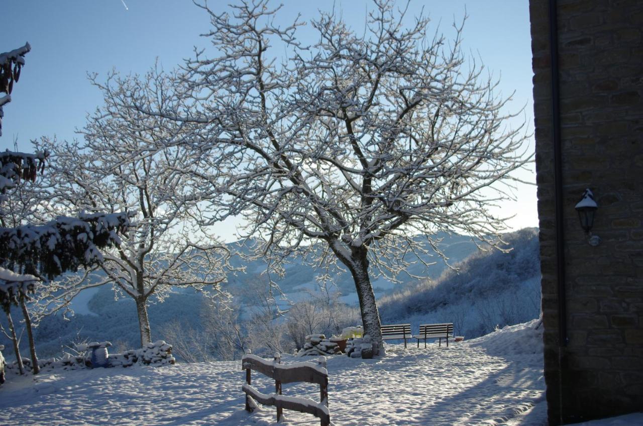 Bed and Breakfast Vinco Castel del Rio Екстер'єр фото