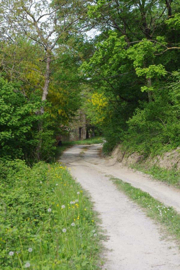 Bed and Breakfast Vinco Castel del Rio Екстер'єр фото
